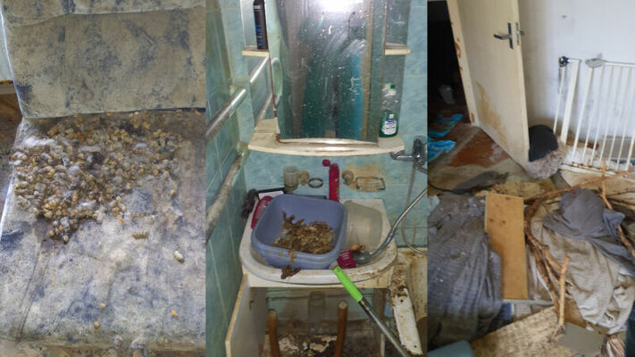 Foto: Valsts policija