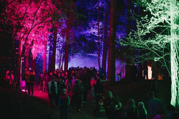 Foto: Latvijas valsts meži