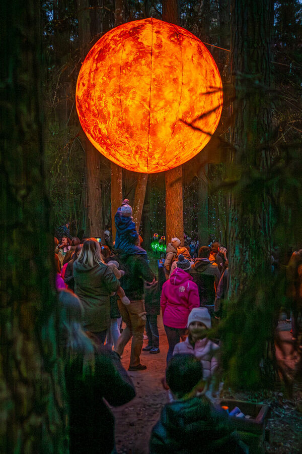 Foto: Latvijas valsts meži