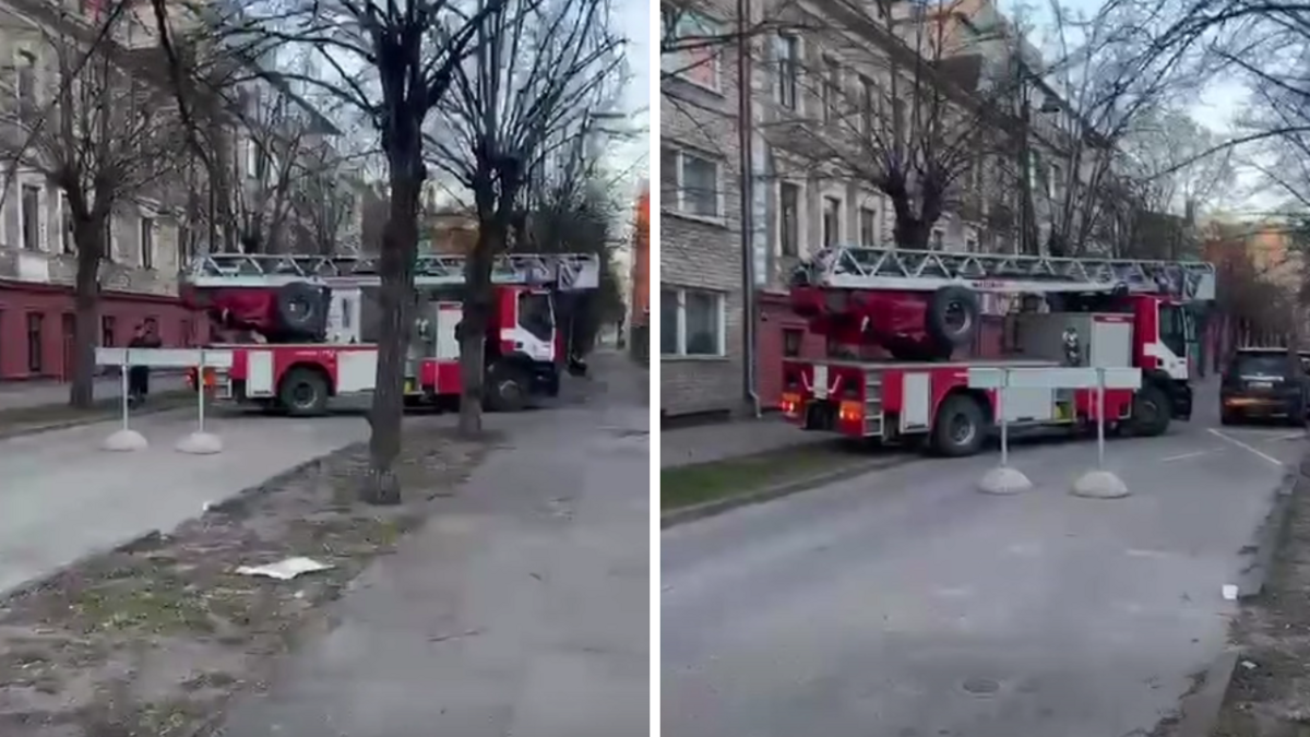 Foto: Ekrānuzņēmums/TV raidījums Zebra