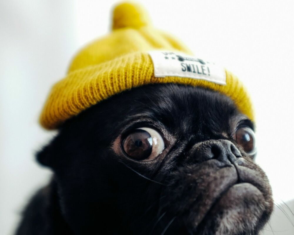 Foto: Unsplash