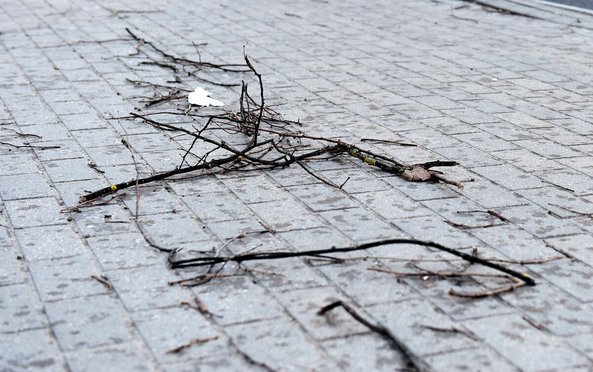 Foto: Ieva Lūka/LETA