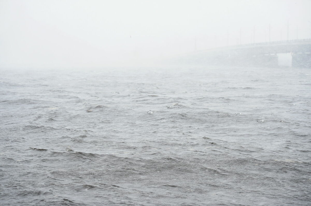 Foto: Zane Bitere/LETA