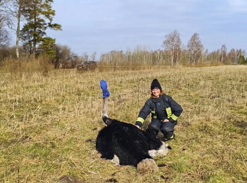 ventasbalss.lv/Facebook