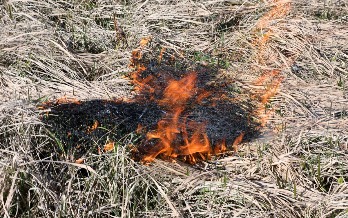 Foto: Evija Trifanova/LETA