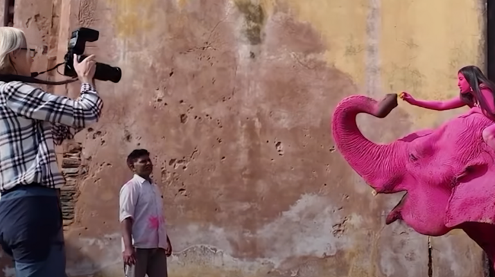 united24.media/Instagram