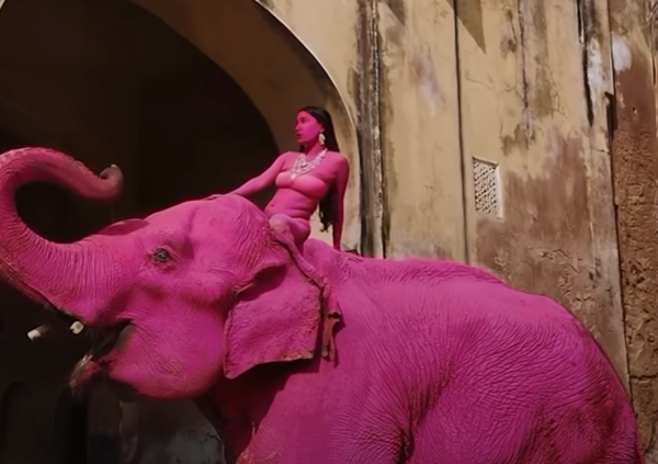 united24.media/Instagram