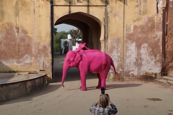 united24.media/Instagram