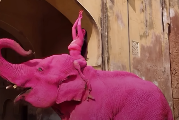 united24.media/Instagram