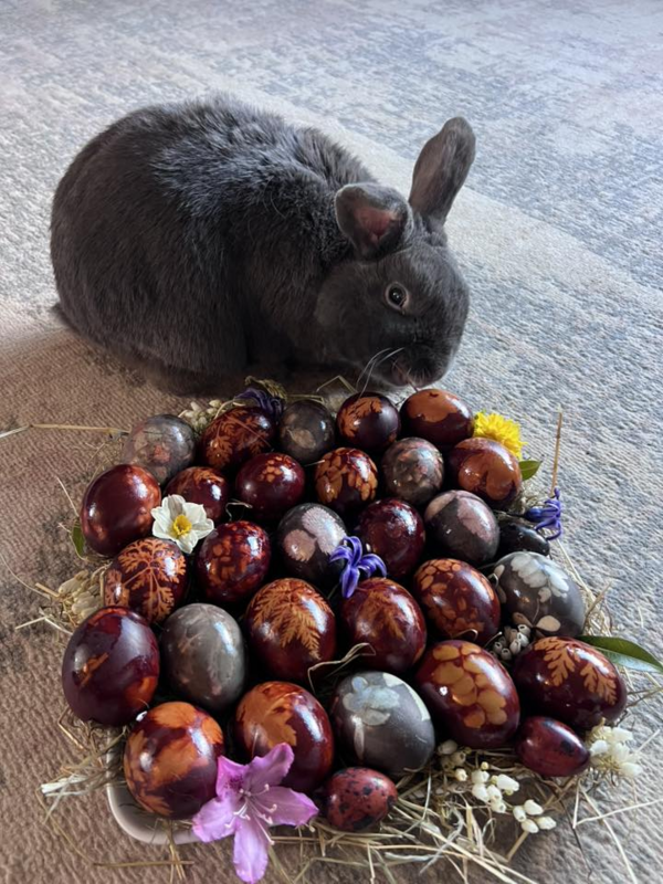 Foto: Solvita Skumbina