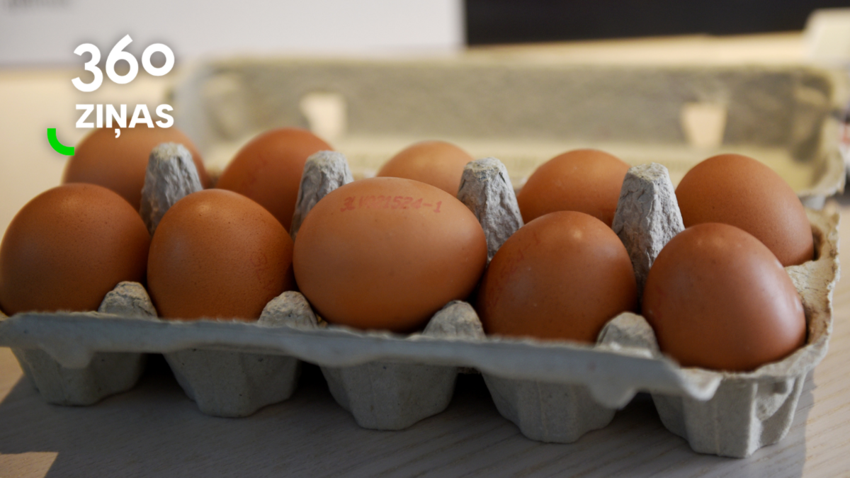 Ilustratīvs attēls. Foto: LETA