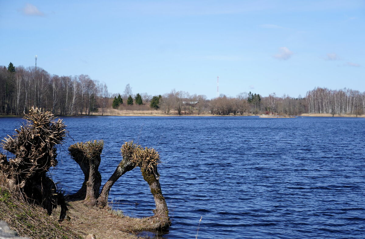 Bīriņu ezers. Foto: LETA