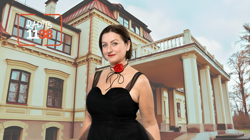 Publicitātes, 1188.lv kolāža