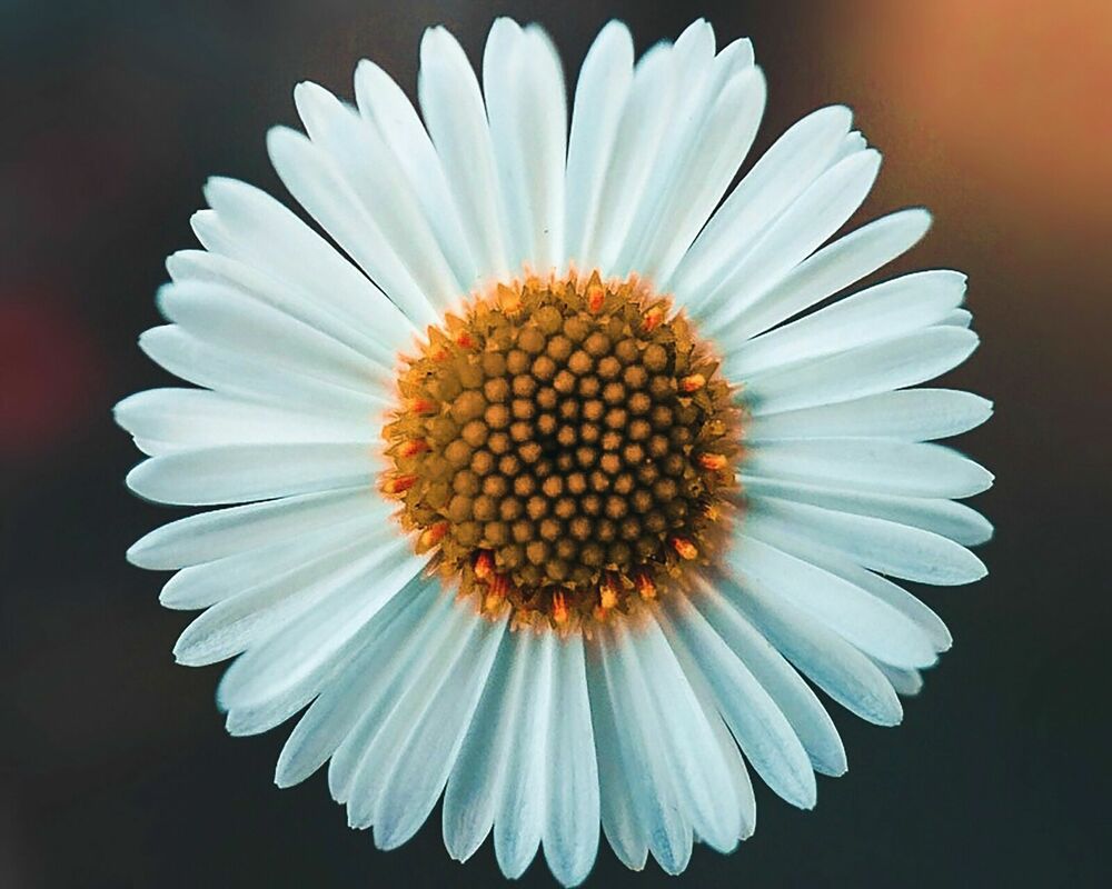 Foto: Unsplash