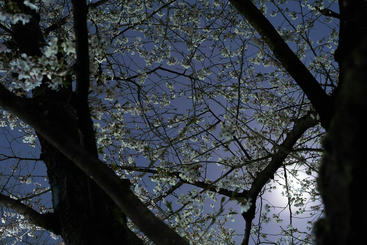 Foto: Unsplash