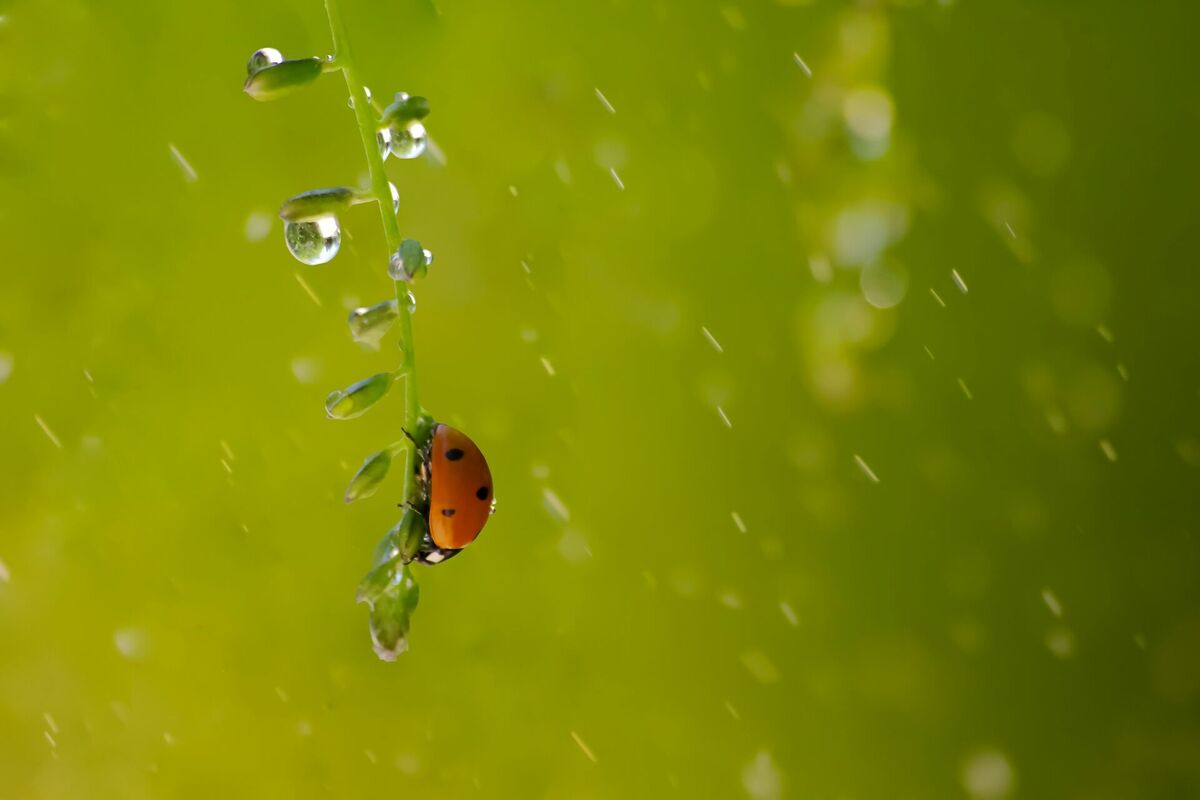 Foto: Unsplash