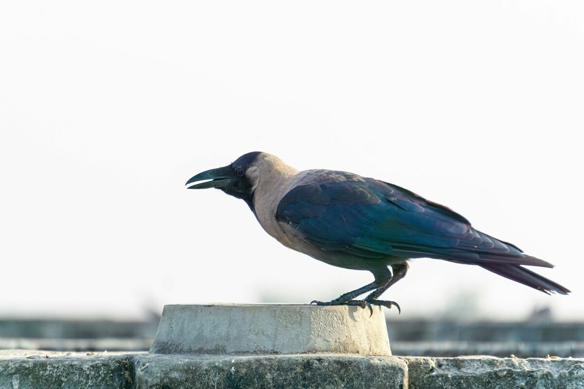 Foto: Unsplash
