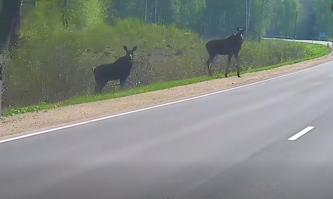 Foto: Ekrānuzņēmums no video