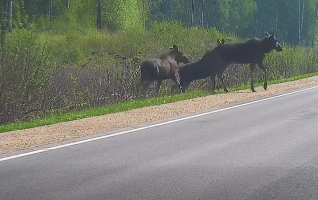 Foto: Ekrānuzņēmums no video