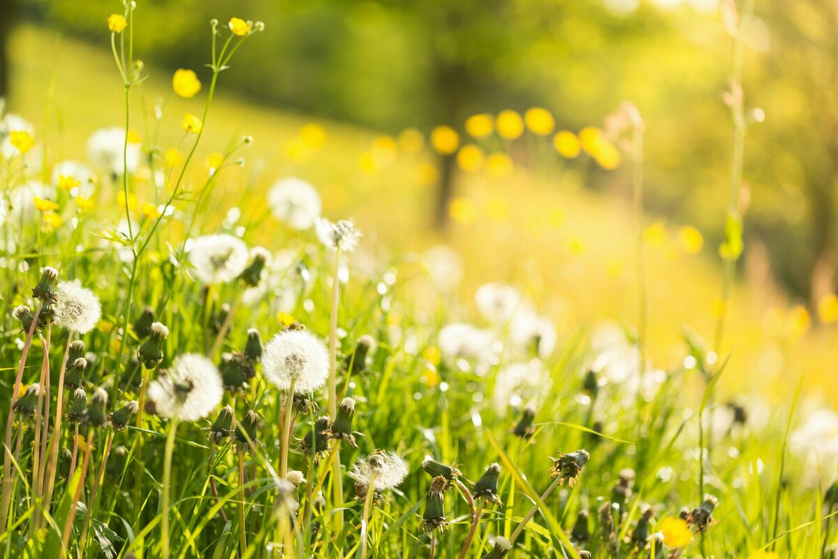 Foto: Unsplash