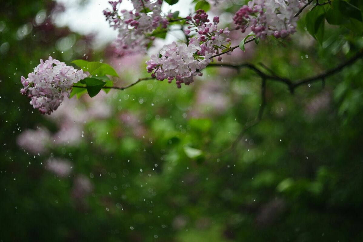 Foto: Unsplash