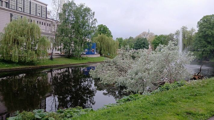 Foto: Rīgas parki un dārzi