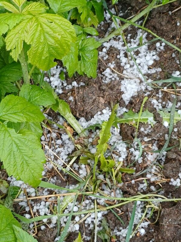Foto: Toms Bricis LTV Laika ziņas/Facebook