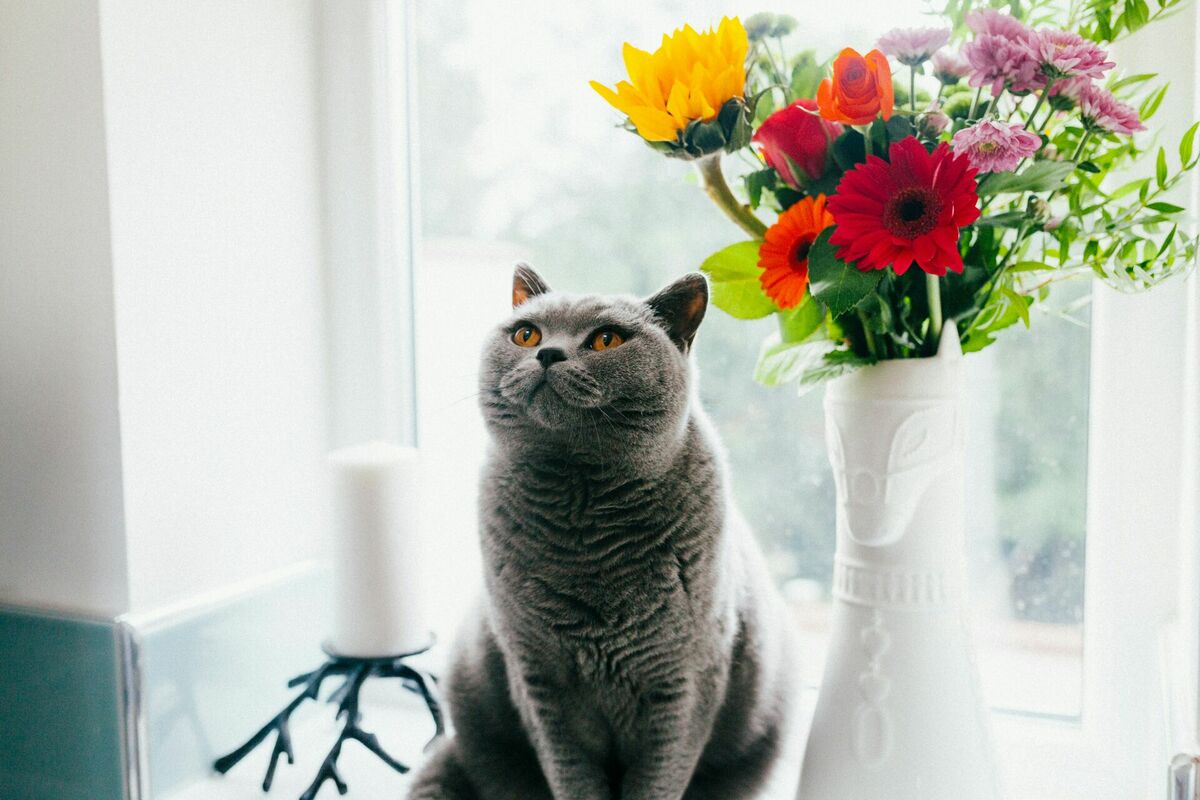 Foto: Unsplash