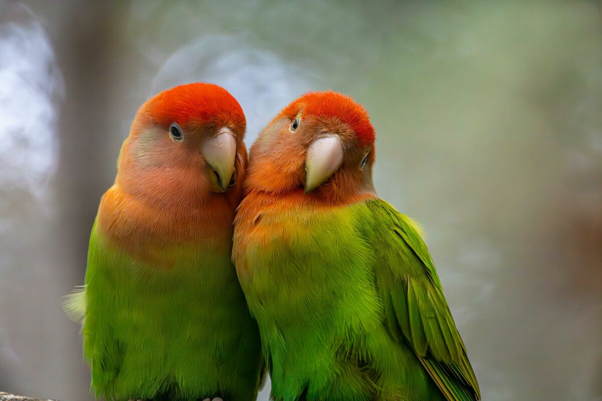 Foto: Pexels 