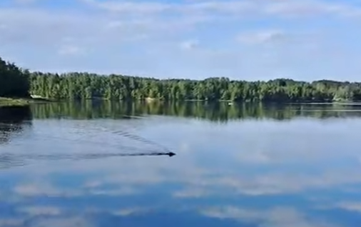 Foto: Ekrānuzņēmums no video