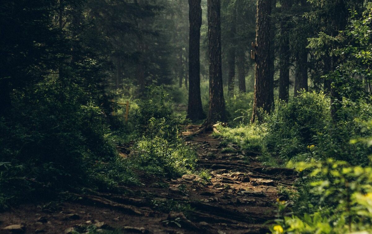 Foto: Unsplash
