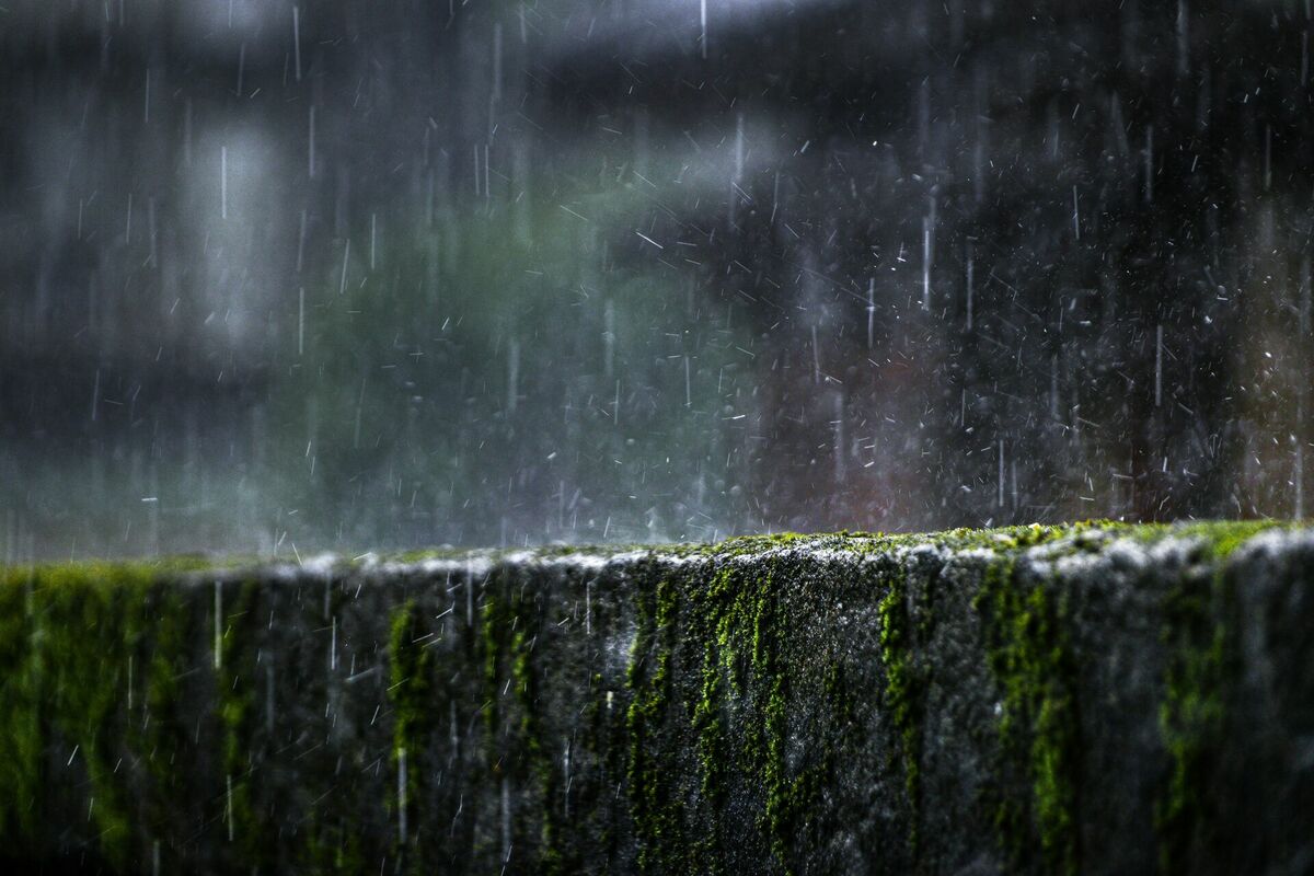 Foto: Unsplash