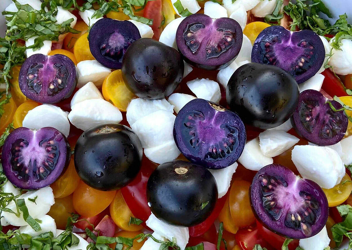 Foto: Norfolk Healthy Produce