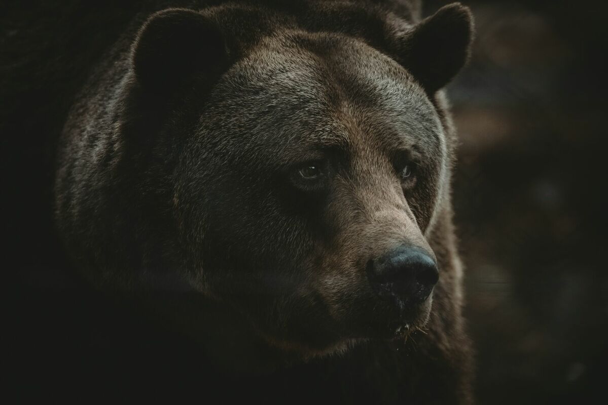 Foto: Unsplash