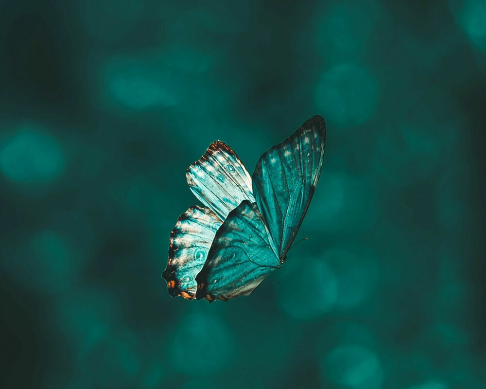 Foto: Unsplash