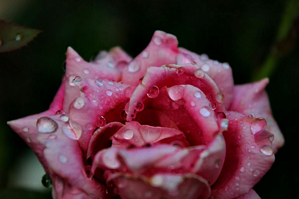 Foto: Unsplash