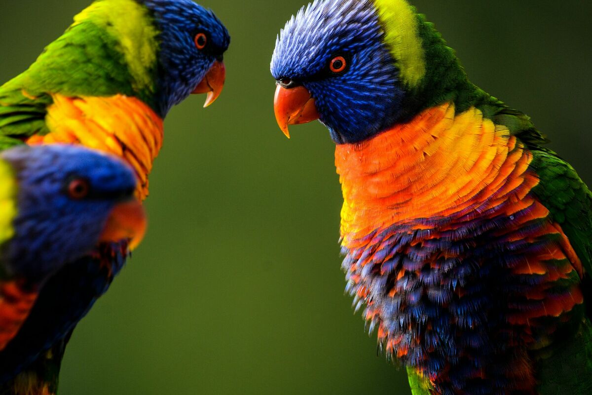 Foto:Unsplash