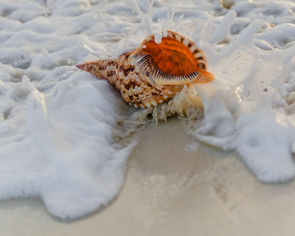 Foto: Unsplash