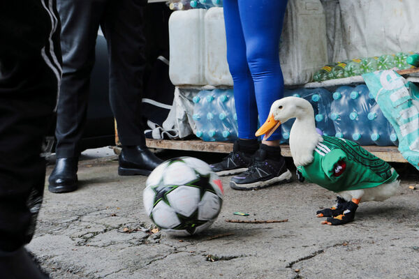 Foto: Reuters/Scanpix