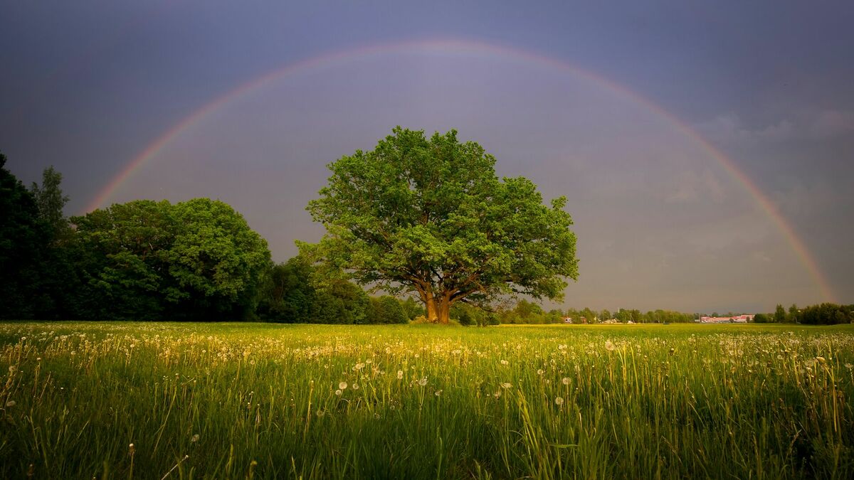 Foto: Unsplash