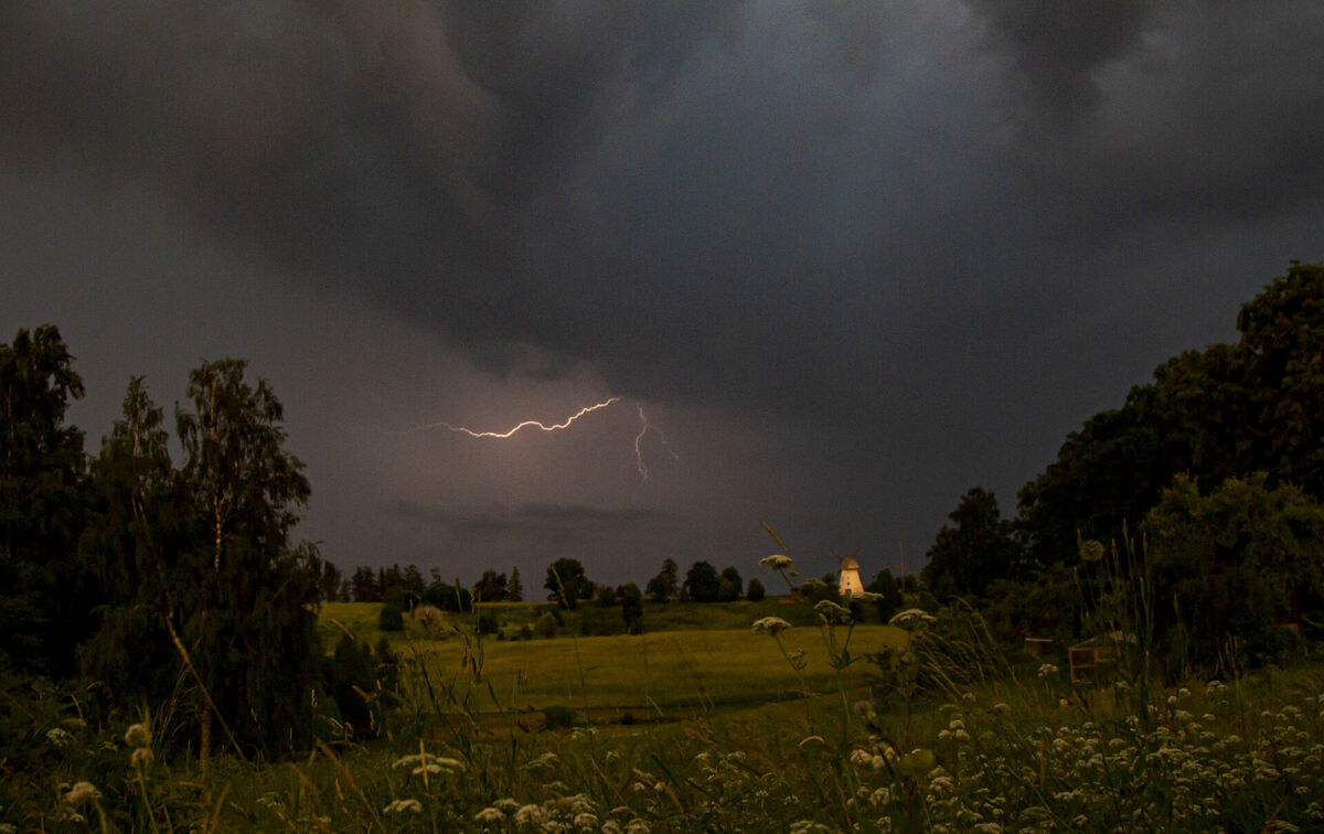 Foto: Edijs Pālens/LETA