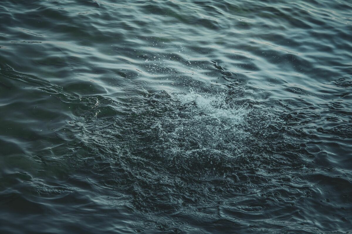 Foto: Unsplash
