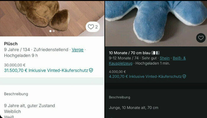 Foto: Ekrānuzņēmumi no "Vinted" aplikācijas