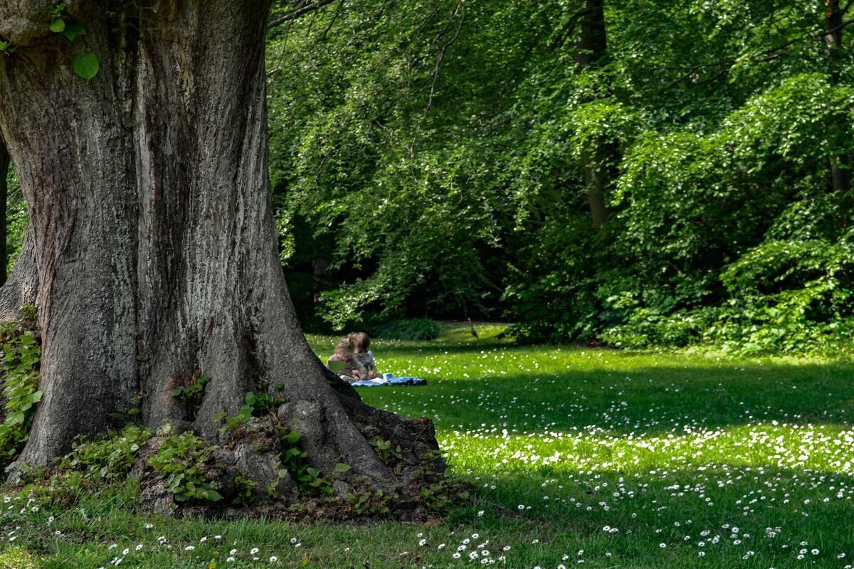 Bērni Dānijā. Foto: Unsplash