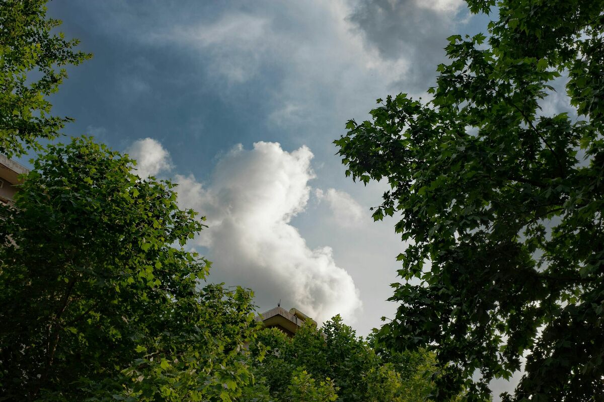 Foto: Unsplash