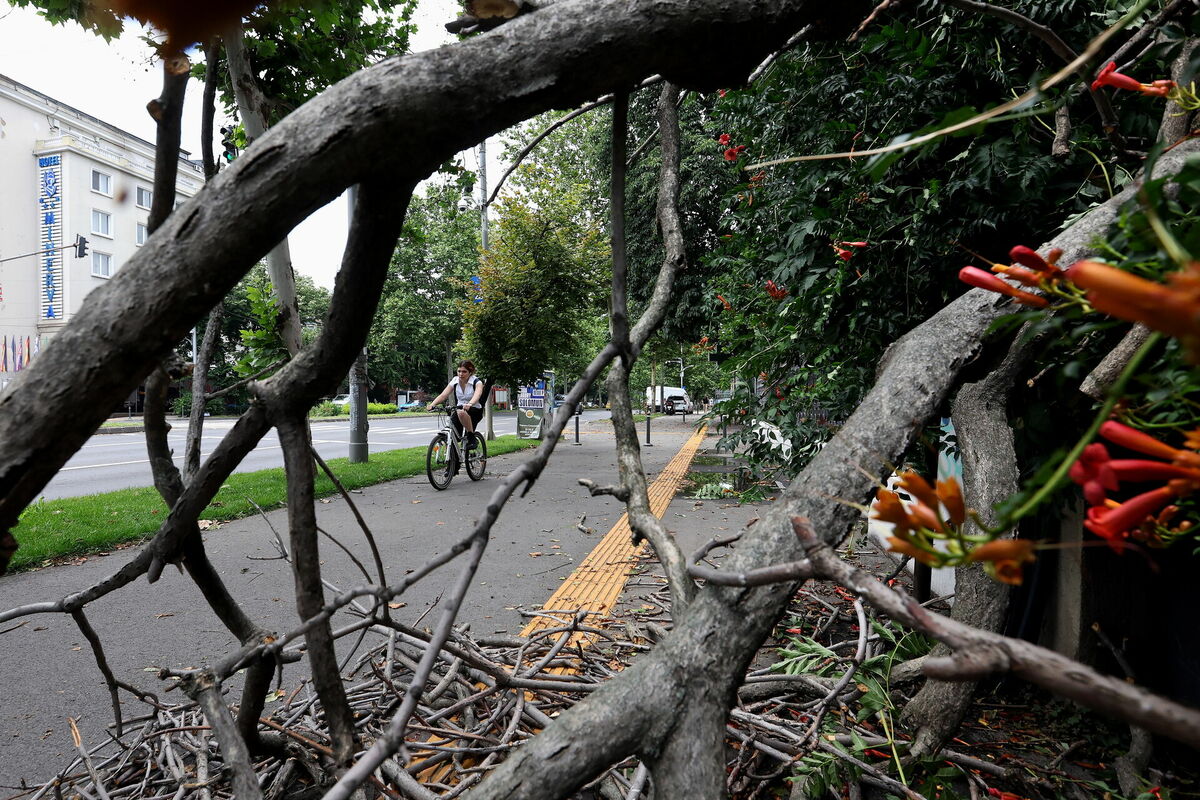 Foto: EPA/ROBERT GHEMENT/Scanpix