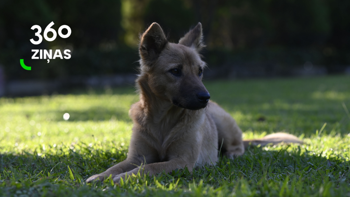 Foto: Unsplash