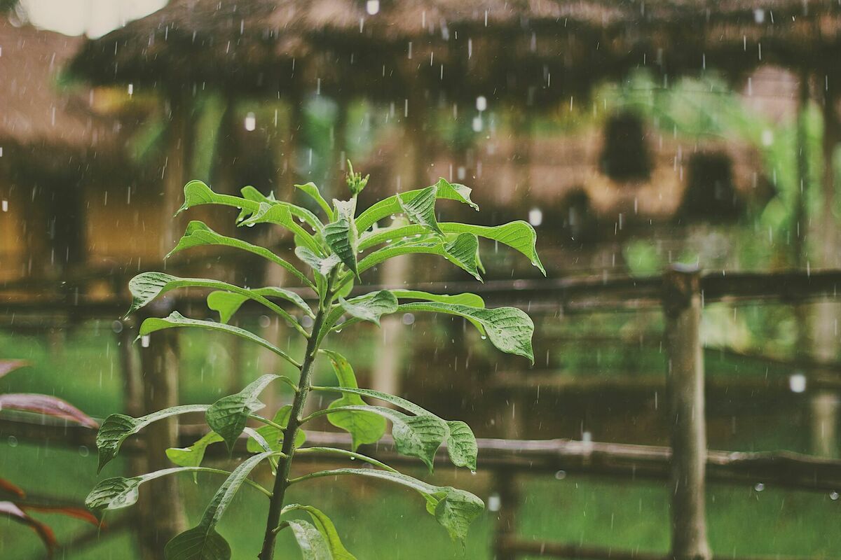Foto: Unsplash