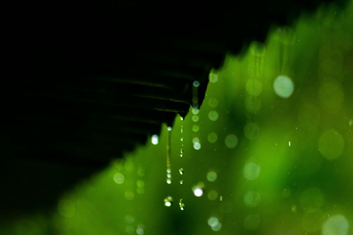 Foto: Unsplash