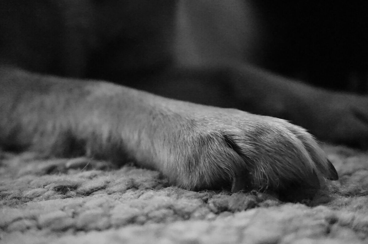Foto: Unsplash